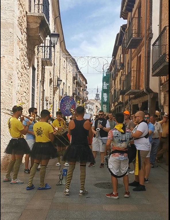 Peñas Festivas en Castilla y León. Informe antropológico